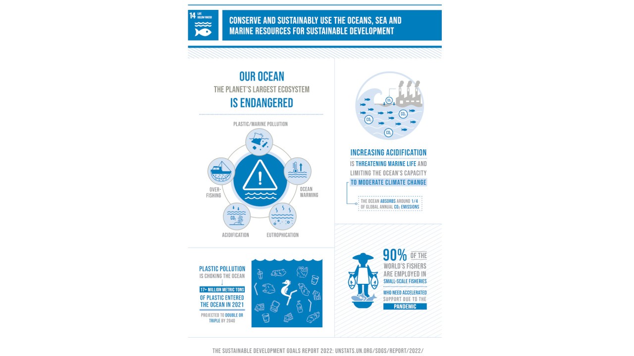 The people and ideologies behind SDG14