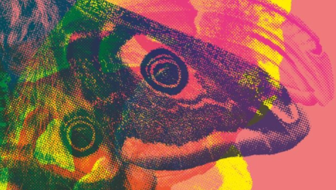 Queer Linguistics’s Serie: Article I